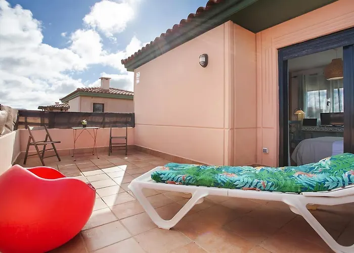 Amadeus * לה אוליבה