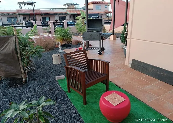 Amadeus * לה אוליבה