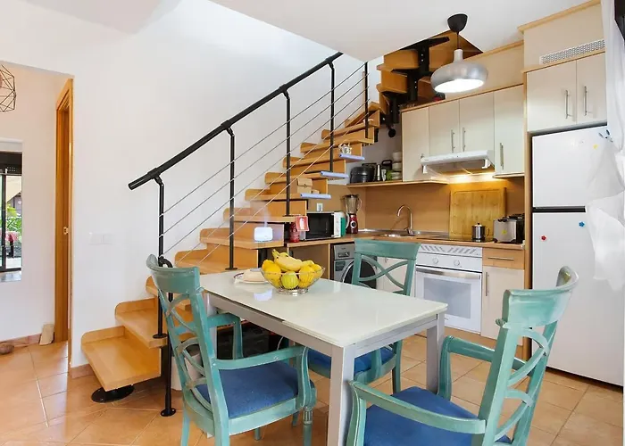 Amadeus * 拉·奥利瓦