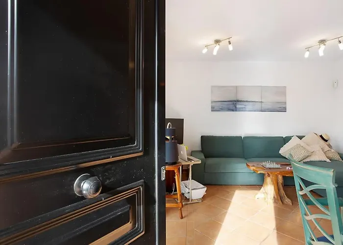 Amadeus 拉·奥利瓦