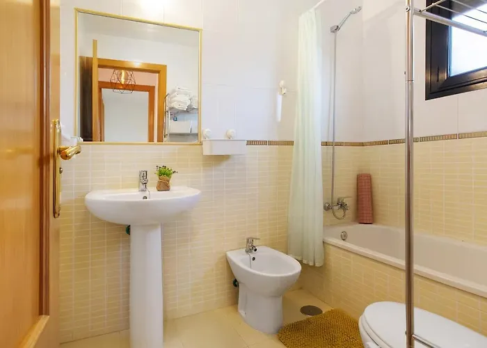 Amadeus * 拉·奥利瓦